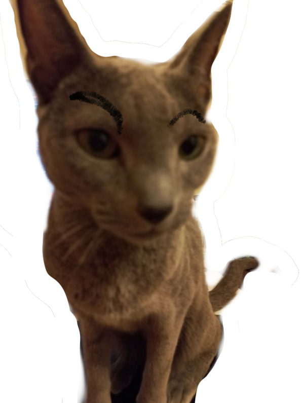 hi